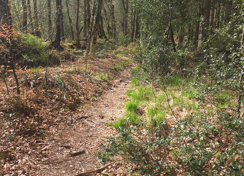 Trail 02 Ermitage - Station de Trail® Bagnoles Normandie · Champsecret