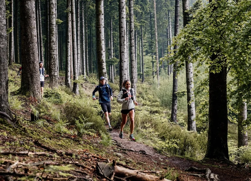 Trail 03 Le Verdier d'Ecouves - Station de Trail® Massif d'Ecouves · Saint-Nicolas-des-Bois