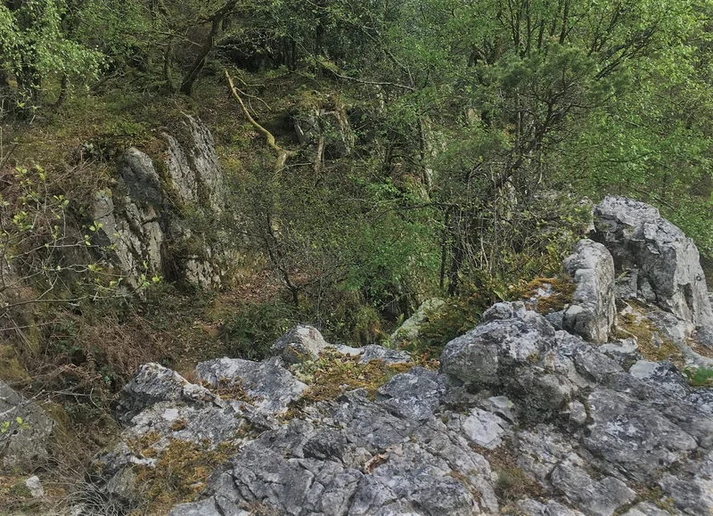 Trail 10 Champsecret - Station de Trail® Bagnoles Normandie · Champsecret