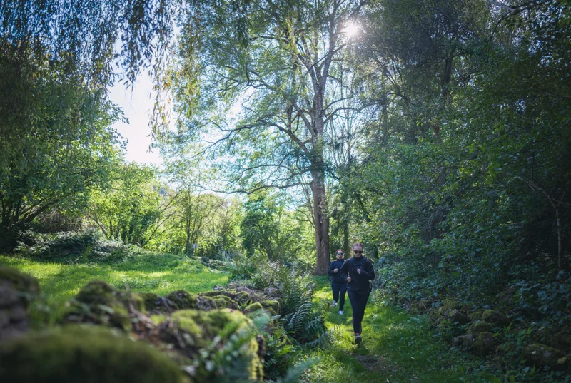 Trail 15 La Forêt-Auvray - Suisse Normande Trail · La Forêt-Auvray