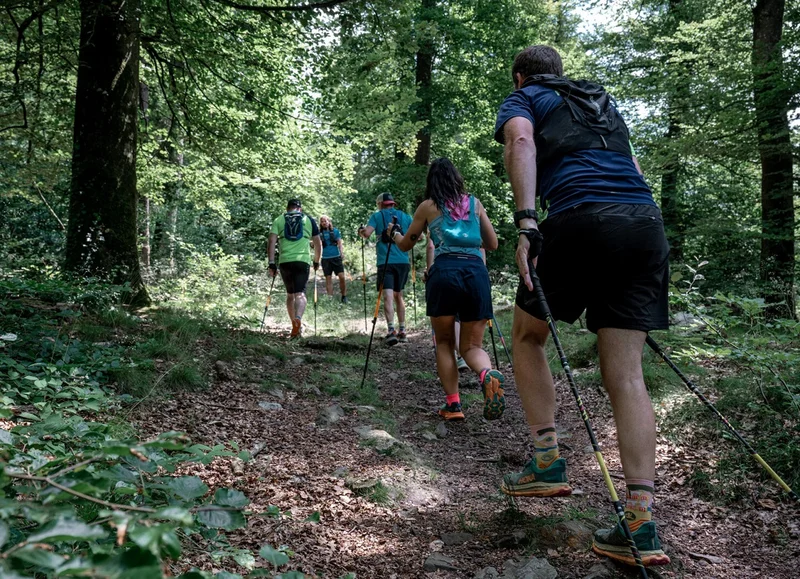 Randonnée 41 Tour en Gerome - Marche Nordique · Les Monts-d'Andaine