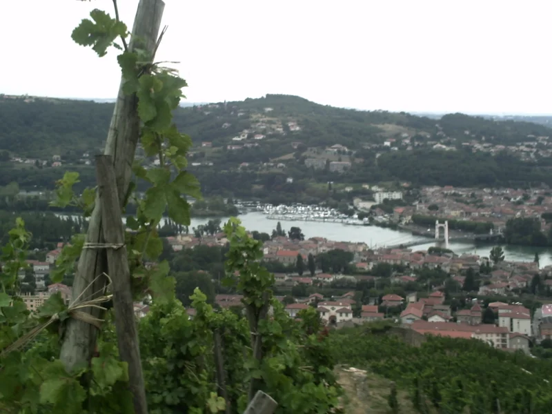 Randonnée Sainte-Agathe - Condrieu n° 3 · Condrieu