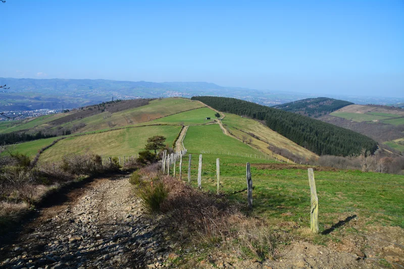 Randonnée Sentier des Croix - Farnay n° 3 · Farnay
