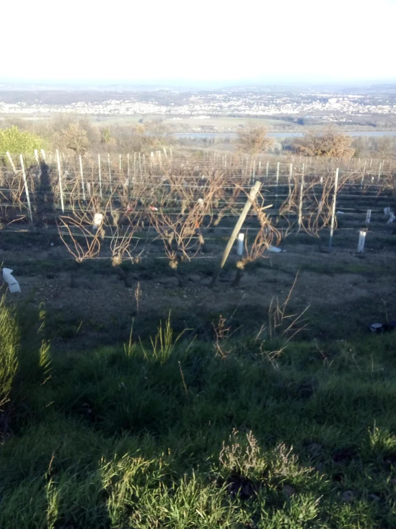 Randonnée Les hameaux de Chèzenas - Saint-Pierre de Boeuf N° 3 · Chézenas