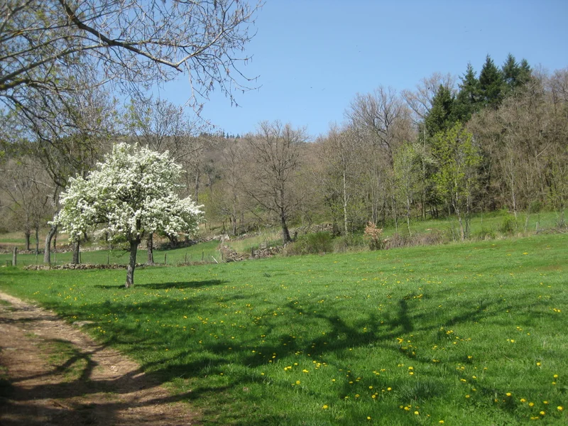 Randonnée Chavardet - Roisey n° 2 · Roisey