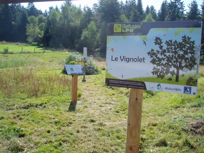 Randonnée La Tourbière des Vernels Planfoy 3 · Planfoy