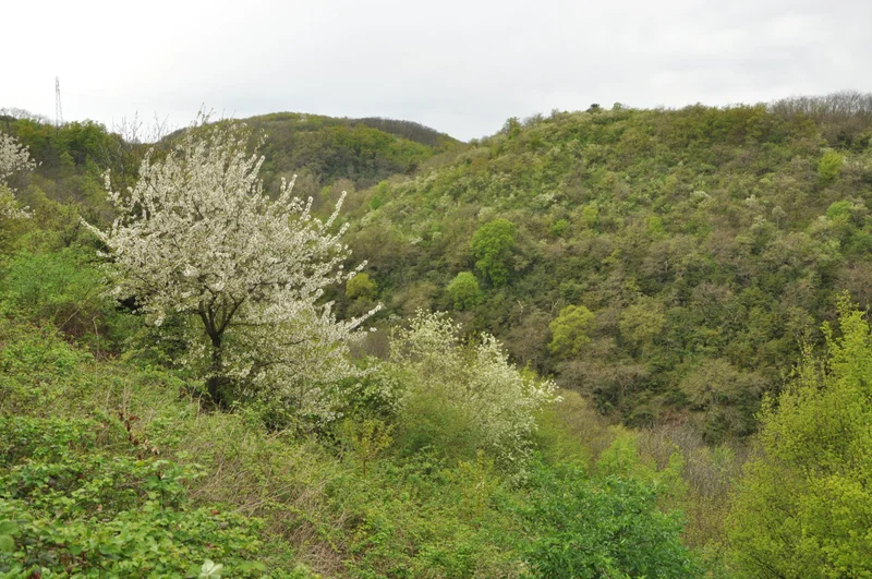 Randonnée Les Roches - Loire-sur-Rhône n°1 · Loire-sur-Rhône