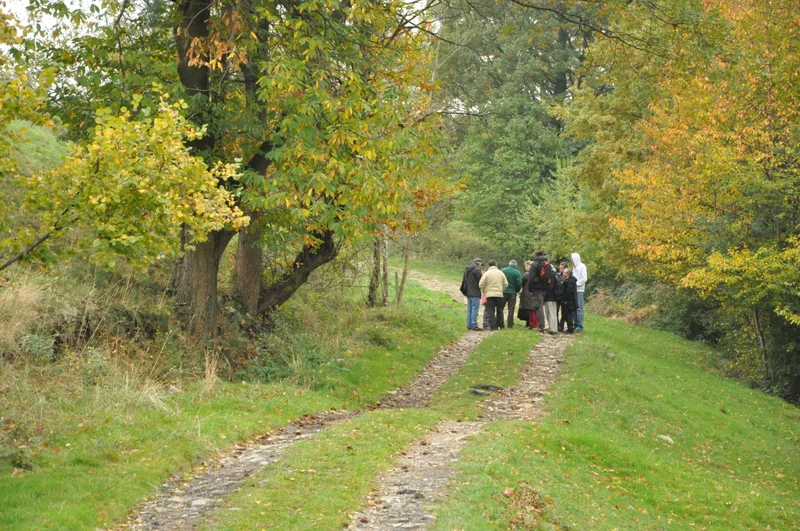 Randonnée Les Bruyères - St-Chamond n°7 · Saint-Martin en Coailleux