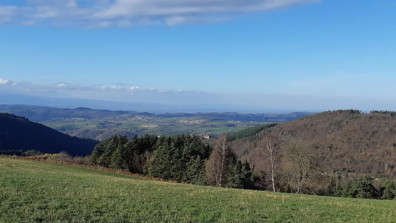 Randonnée Par Bois et Barlans - Le Chambon-Feugerolles n°3 · Le Chambon-Feugerolles