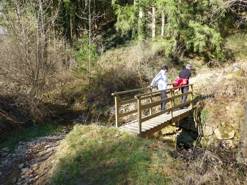 Randonnée Les Scies - La Roche - Doizieux n°3 · Doizieux