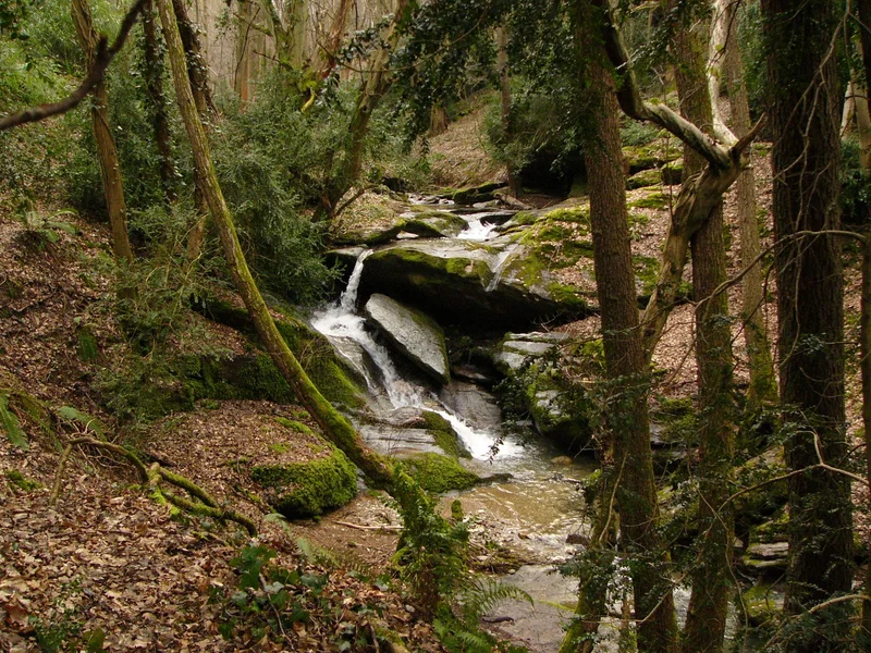 Randonnée Les hauteurs - Loire-sur-Rhône n°2 · Loire-sur-Rhône