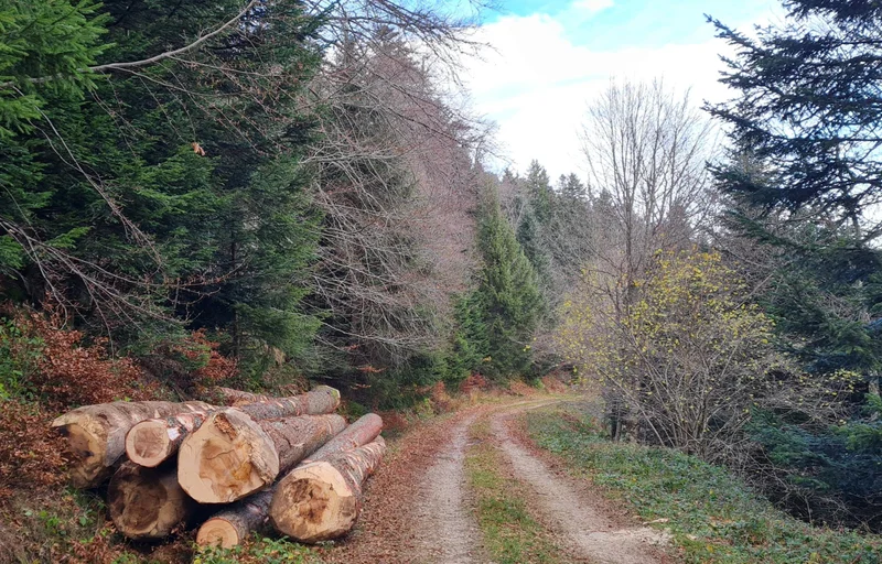 Randonnée La chaux de Toureyre · Pélussin