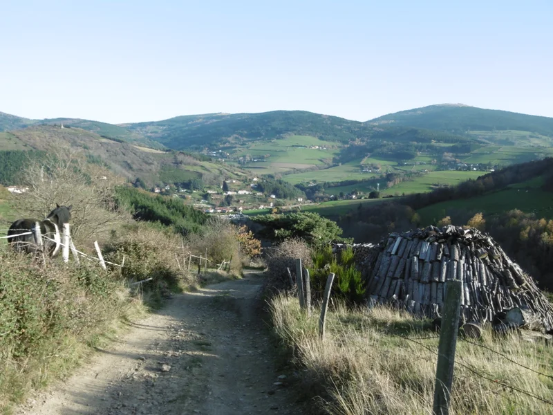 Randonnée Sentier du Bois Bouchat - La Terrasse-sur-Dorlay n° 2 · La Terrasse-sur-Dorlay