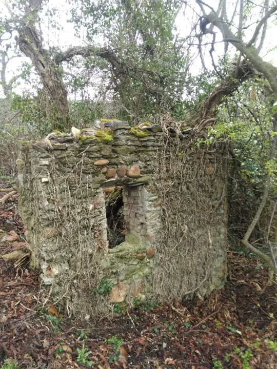 Randonnée Le Bataillard Saint-Romain-en-Gal n°2 · Saint-Romain-en-Gal