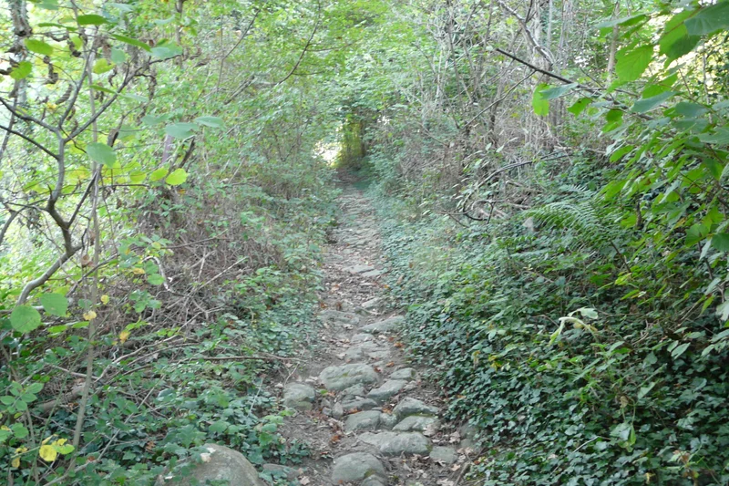 Randonnée Le Chemin des Crouzes - Pavezin n° 3 · Pavezin