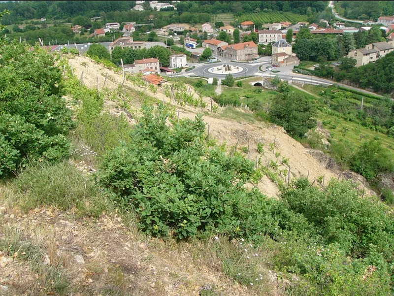 Randonnée Le Bois Prieur - St-Pierre de Boeuf n°1 · Chézenas