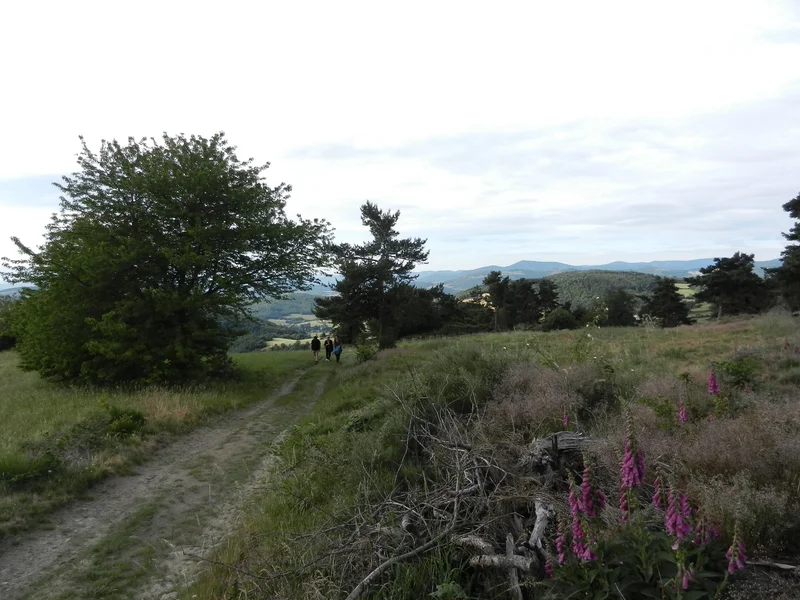 Randonnée Le Panorama du Lacat - Colombier n° 2 · Colombier