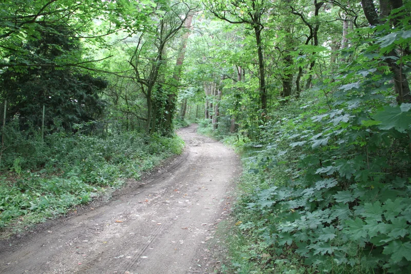 Randonnée Les coteaux du Gier - Echalas n° 2 · Échalas