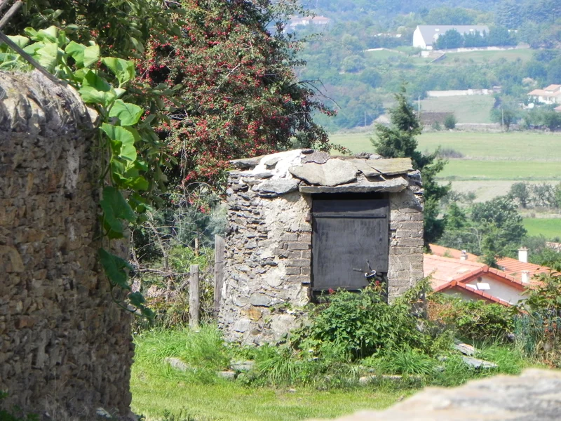 Randonnée De la Combe d'Enfer au Crêt des Moussières - Echalas n° 3 · Échalas