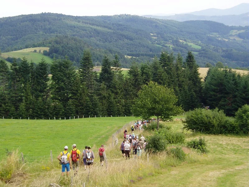 Randonnée Sentier du Bois Grézé - Graix n° 3 · Graix