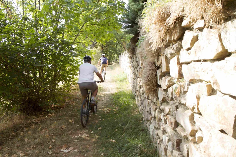 VTT VTT n°12 - Le huit de la Valencize - Difficulté bleu (VTTAE vert) · Pélussin