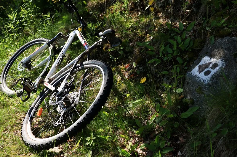VTT VTT n°17 - La Barollière - Difficulté vert · Saint-Paul-en-Jarez