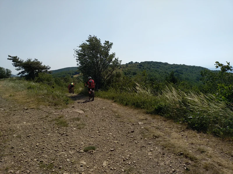 VTT VTT n°14 - Le Huit de Pavezin - Difficulté rouge · Chuyer