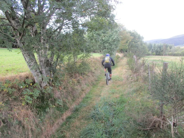 VTT VTT n°2 - Le Grand Bois - Difficulté noir · Bourg-Argental