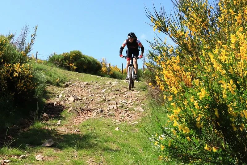 VTT VTT n°10 - La Croix de Montvieux - Difficulté noir · Pélussin