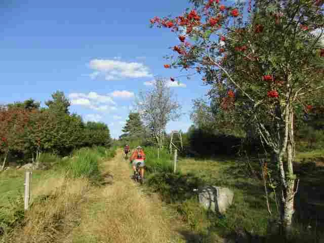 VTT VTT n°25 - La Faye - Difficulté rouge · Marlhes
