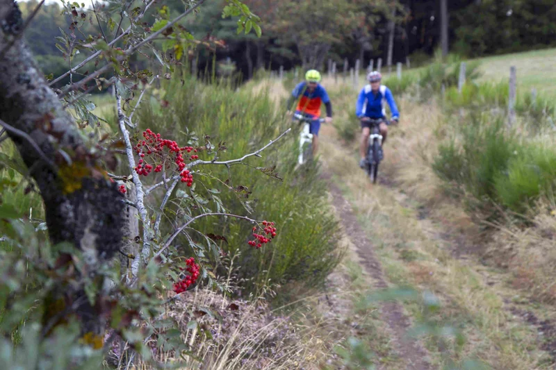 VTT VTT n°23 - Les Barrages - Difficulté noir (VTTAE rouge) · Le Bessat