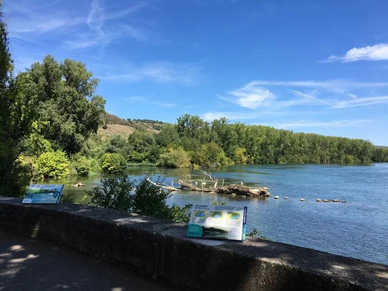 Randonnée Sentier de découverte du Castor de l'Ile du Beurre · Condrieu
