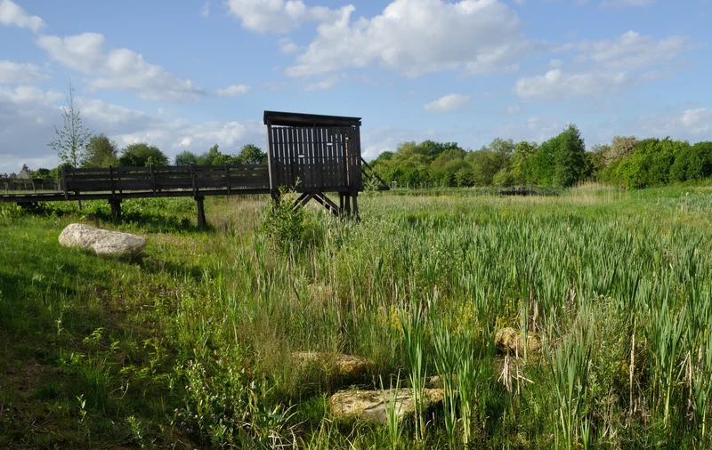 Randonnée Plailly, des champs aux bois · Plailly