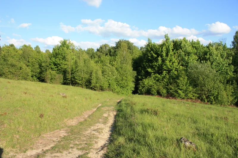 Randonnée M6 - Autour du bois de Morval · Guiry-en-Vexin
