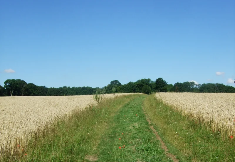 Randonnée JC2 - Les grands espaces · Le Bellay-en-Vexin
