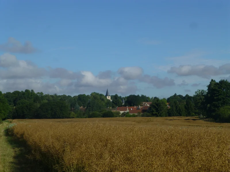 Randonnée M4 - la vallée de l'Aubette · Théméricourt