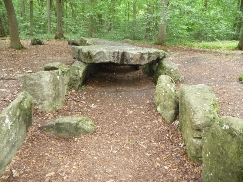 Randonnée En forêt de Carnelle · Presles