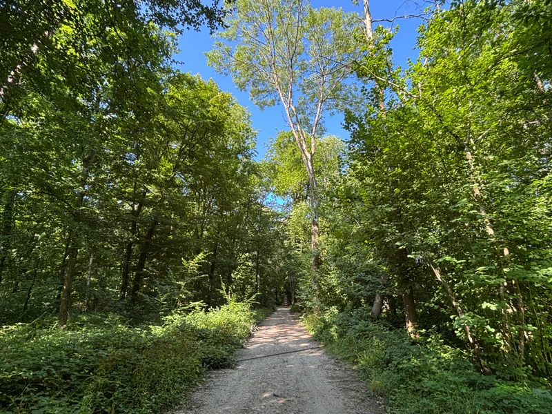 Randonnée CH3 Le bois de la tour du Lay · Champagne-sur-Oise