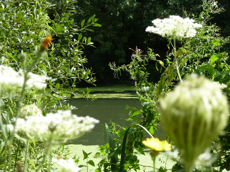 Randonnée Les berges et les coteaux de la Seine · Follainville-Dennemont