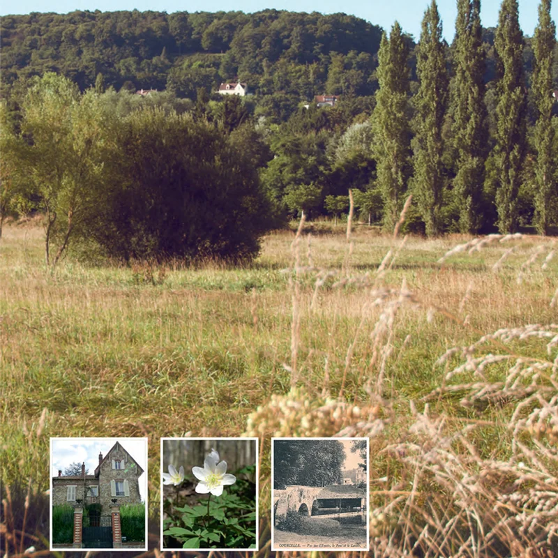 Randonnée Une ville à la campagne · Gif-sur-Yvette