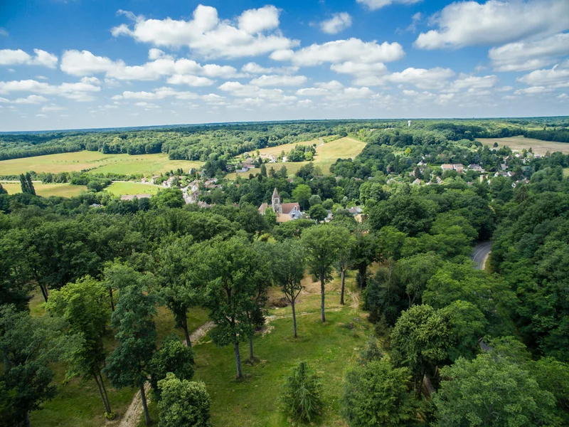 Randonnée Forêt et villages hors du temps · La Celle-les-Bordes