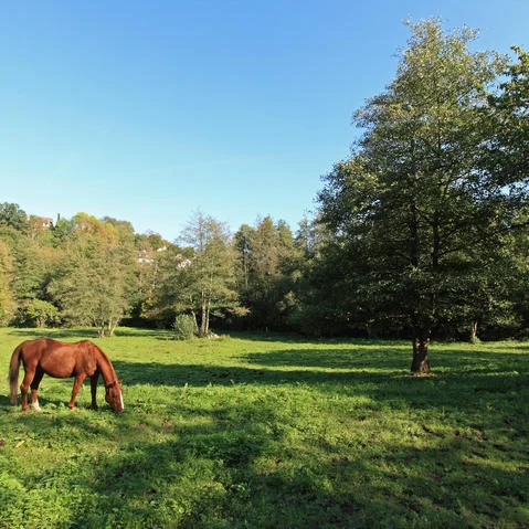 Randonnée Village perché et verte vallée · Magny-Village