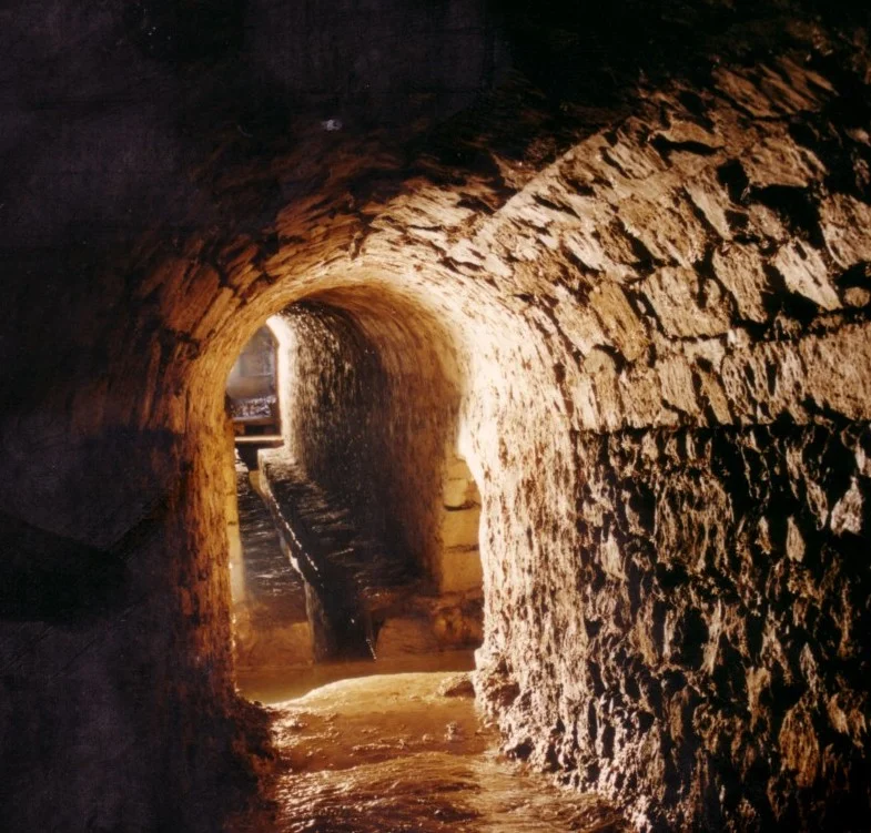 Randonnée L'eau des moines (0) · Viarmes
