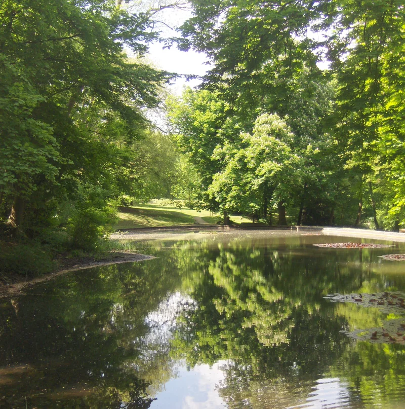 Randonnée Tour d'Asnières (0) · Les Tilleuls