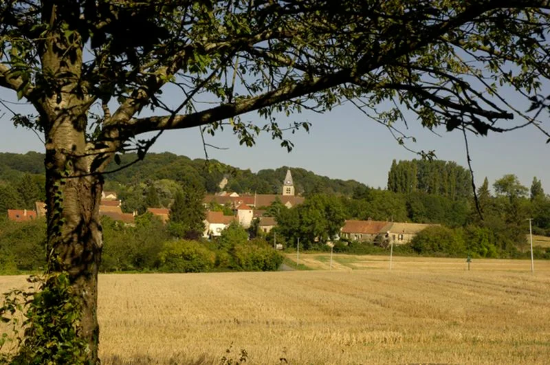 Randonnée B3 - Les herbes de Chaudry · Villers-en-Arthies