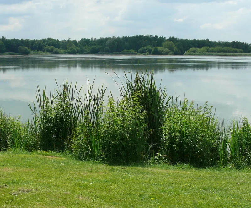 Randonnée A la lisière entre ville et campagne · Rodon