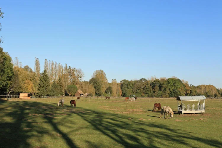 Randonnée Les moulins de Saint-Arnoult · Longvilliers