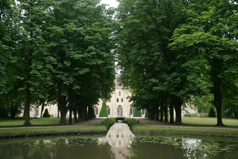 Randonnée Au bord de l'eau à Royaumont · Les Tilleuls