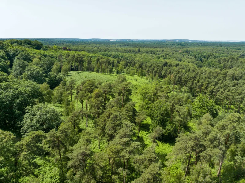 Randonnée Au coeur de la forêt de Rambouillet · Saint-Léger-en-Yvelines