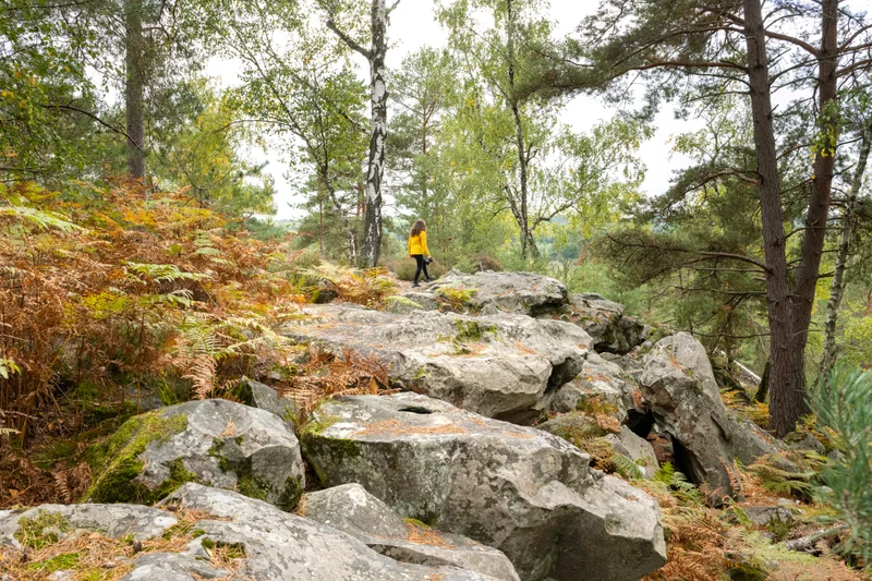Randonnée Forêt de Rambouillet et rochers d'Angennes · Poigny-la-Forêt